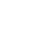 Logo SB blanco 256